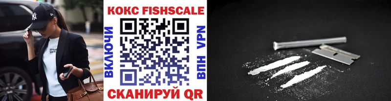 Кокаин FishScale  где продают   Наволоки 
