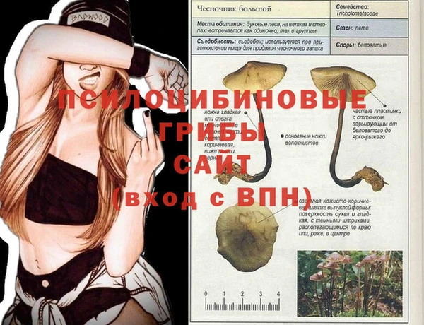 Альфа ПВП Богданович