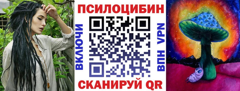 цены   Наволоки  Псилоцибиновые грибы мицелий 