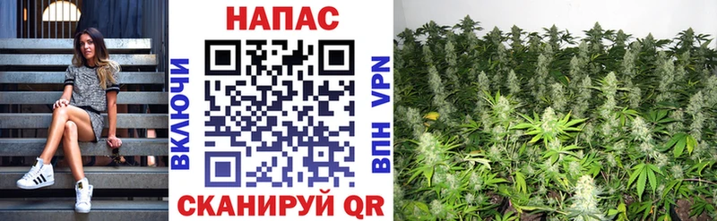 Бошки марихуана индика  продажа наркотиков  Наволоки 